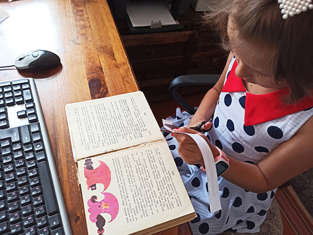 den samoupravleniya13