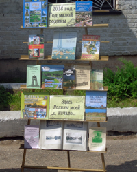 0 prazdnik derevnia dachnoe