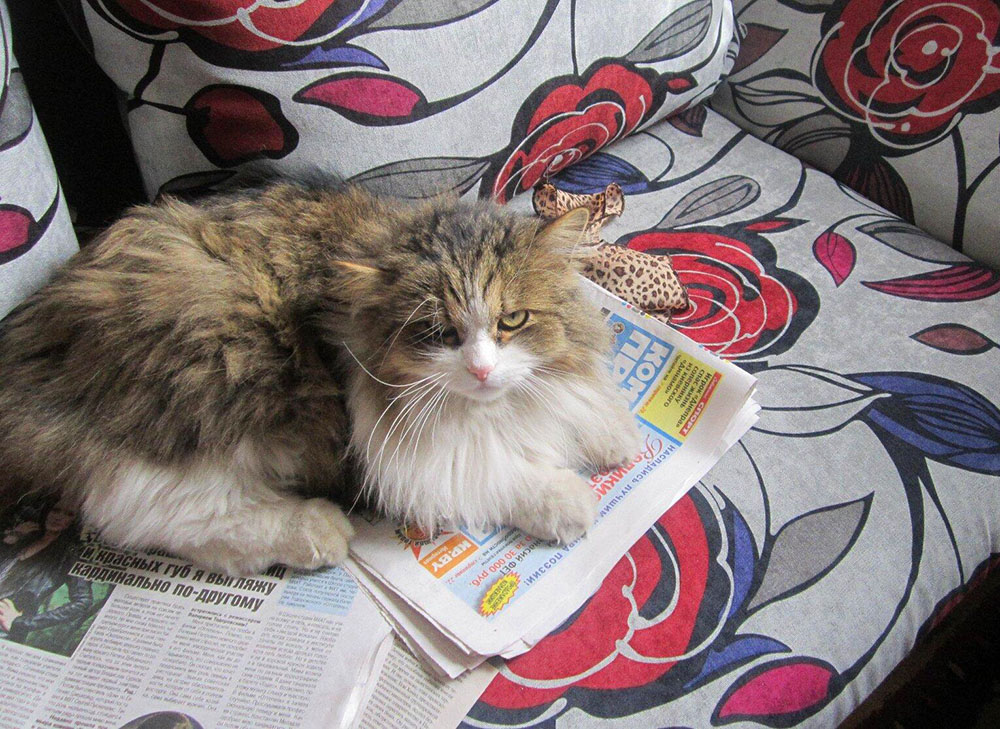 Bibliopozitiv2020 22