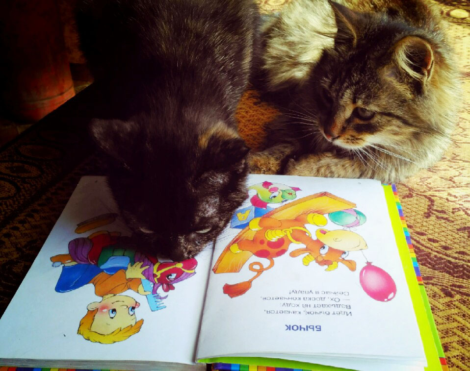 Bibliopozitiv2020 35