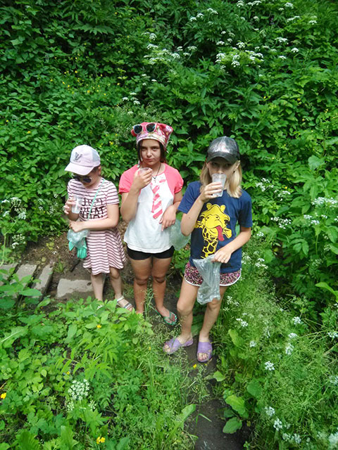 rodniki maloy rodiny2