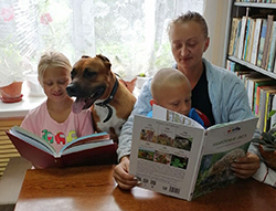 mir ptits i zverey zhdot druzey