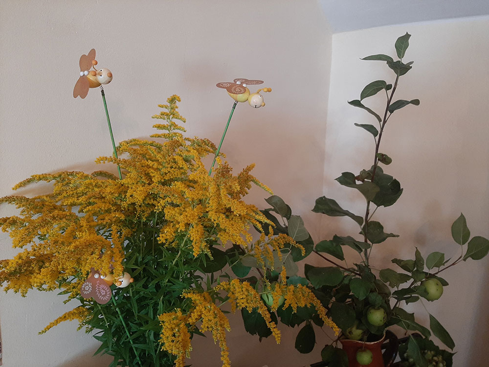 Spas vsego pro zapas8