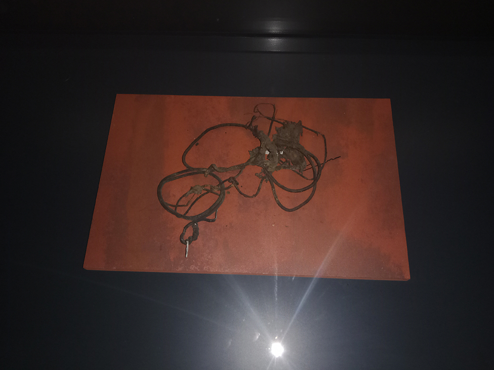 Yego podvig veka ne sotrut20