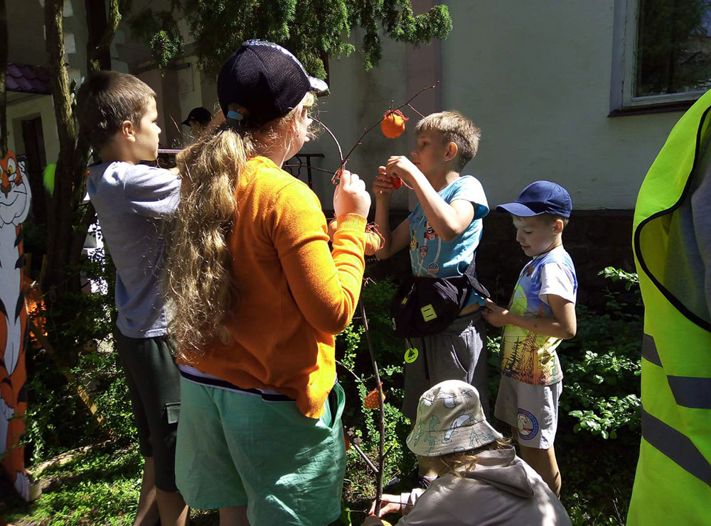 Den oranzhevogo nastroyeniya4