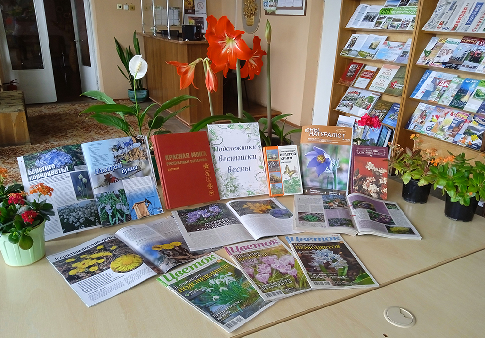 Podsnezhniki vestniki vesny1