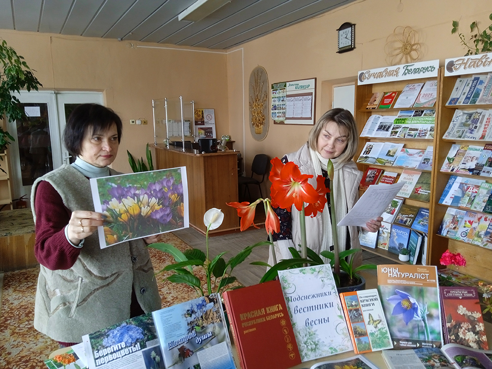 Podsnezhniki vestniki vesny7