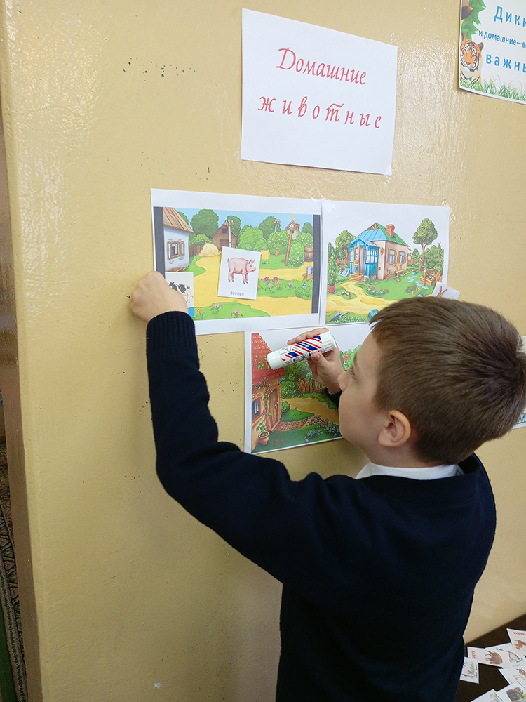 dikiye i domashniye5