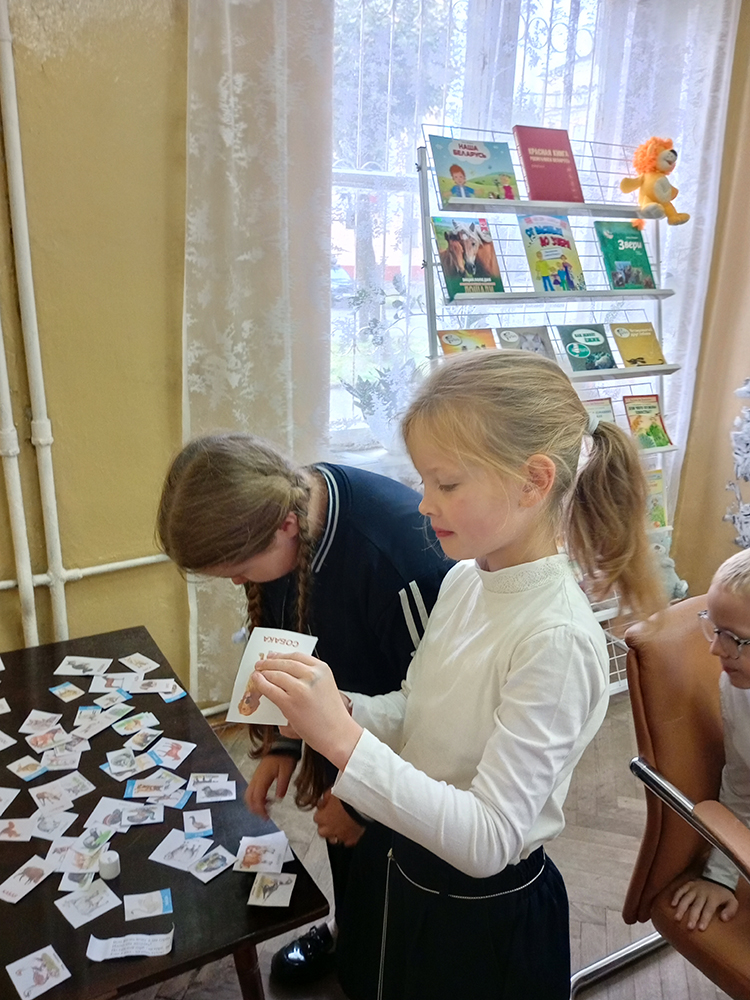 dikiye i domashniye8