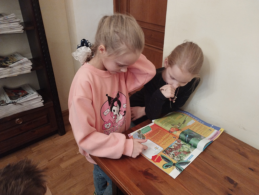 puteshestviye v lindgrenlend3