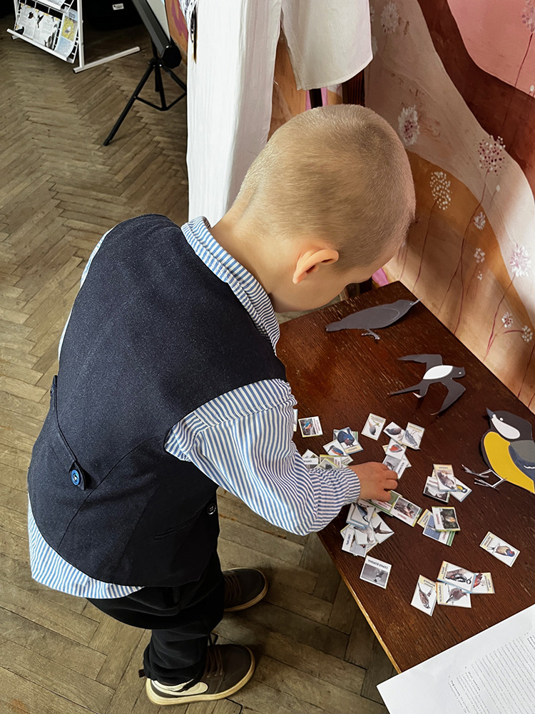 pernatyy mir prirody3