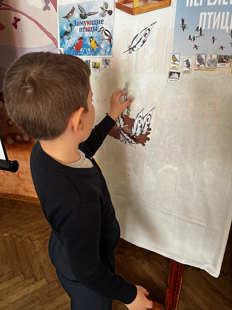 pernatyy mir prirody4