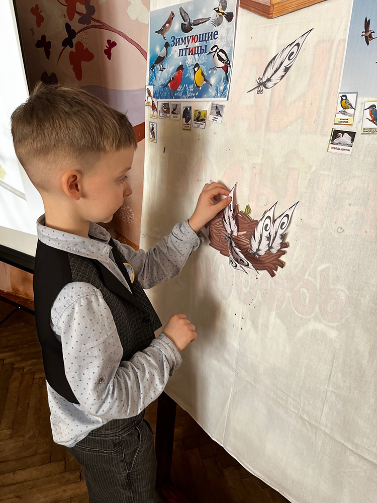 pernatyy mir prirody5