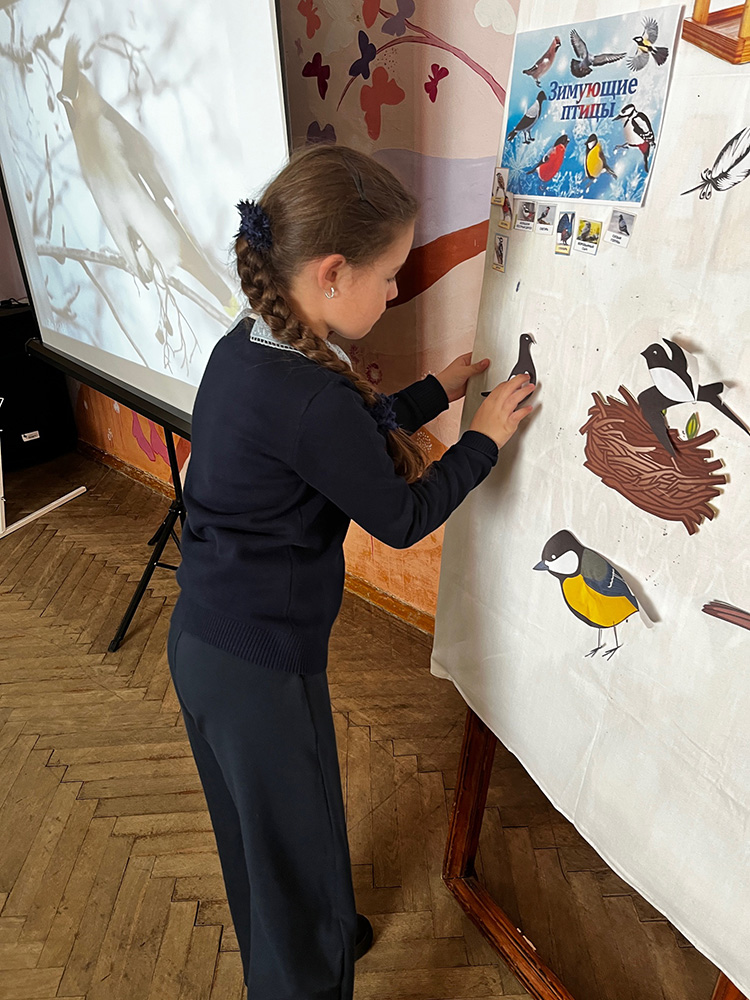 pernatyy mir prirody7