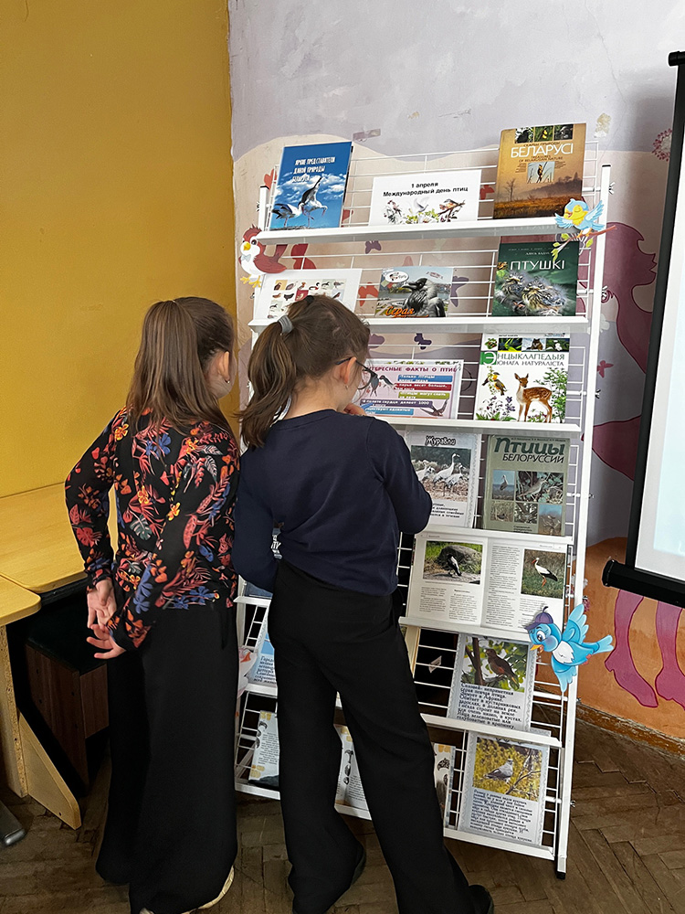 pernatyy mir prirody8