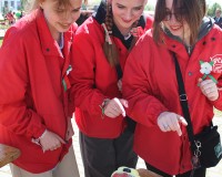 den-pobedy-gorodskoy-park-65