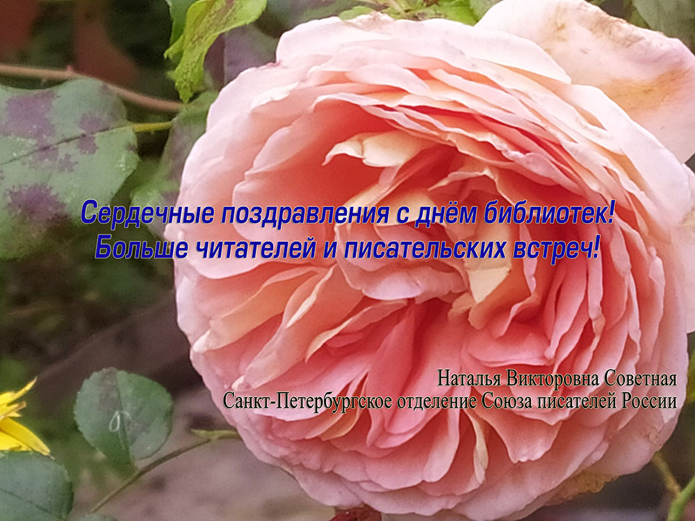 pozdravleniya s dnem bibliotek6