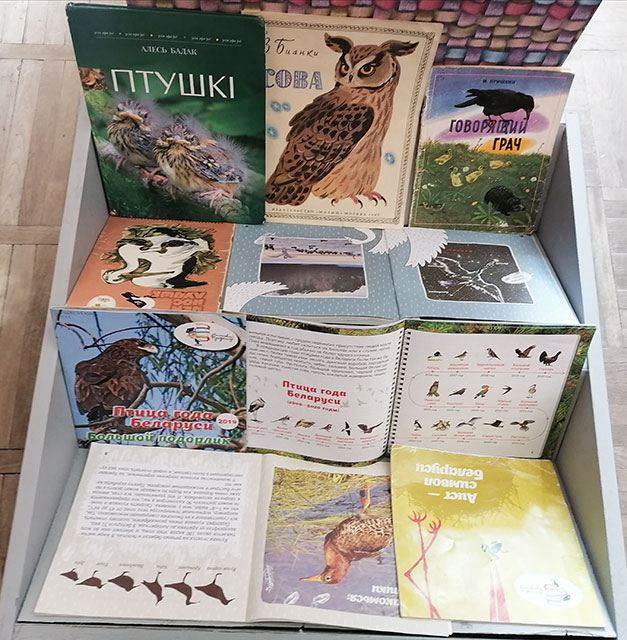 ptichki simpatichki3